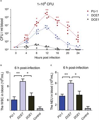 Porcine extraintestinal pathogenic Escherichia coli delivers two serine protease autotransporters coordinately optimizing the bloodstream infection